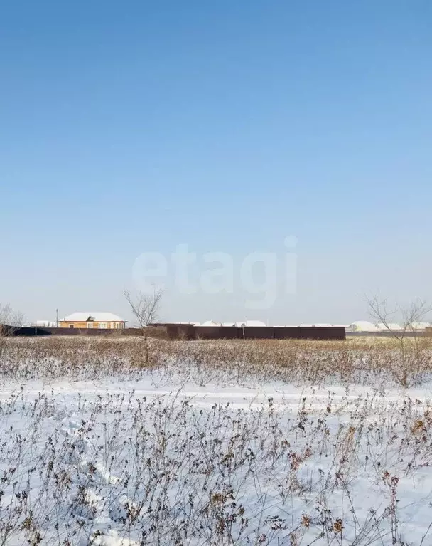 Участок в Забайкальский край, Чита Преображенский мкр,  (20.0 сот.) - Фото 1