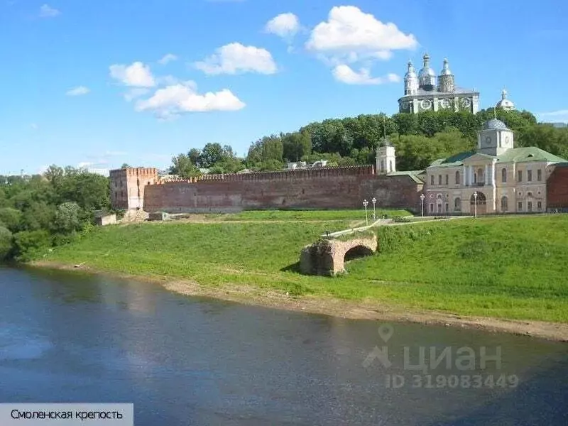 Участок в Смоленская область, Починковский муниципальный округ, д. ... - Фото 0