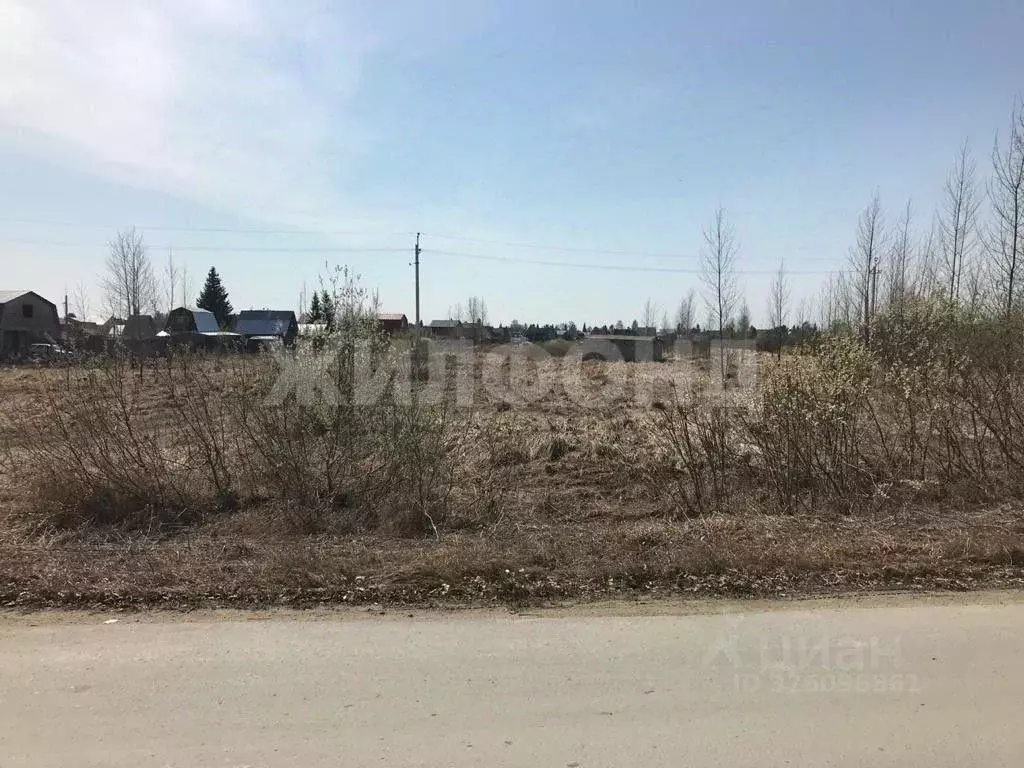 Участок в Новосибирская область, Новосибирский район, Кудряшовский ... - Фото 2