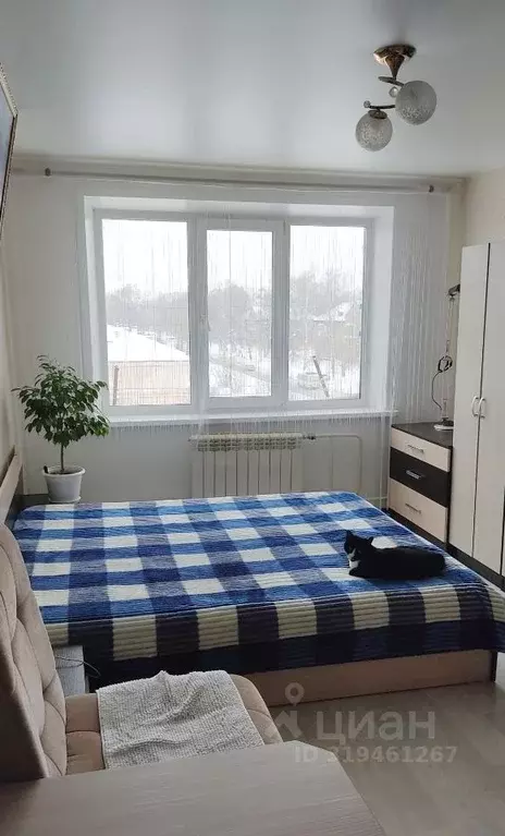 Студия Кемеровская область, Кемерово Инициативная ул., 5 (23.0 м) - Фото 1
