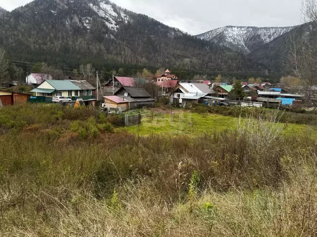 Участок в Алтай, Майминский район, с. Усть-Муны Березовая ул. (16.0 ... - Фото 0