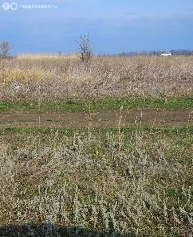 Участок в Ставропольский край, Грачёвский муниципальный округ, село ... - Фото 0