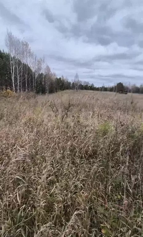 Участок в Томская область, Томский район, Солнечная поляна ДНТ ул. ... - Фото 1