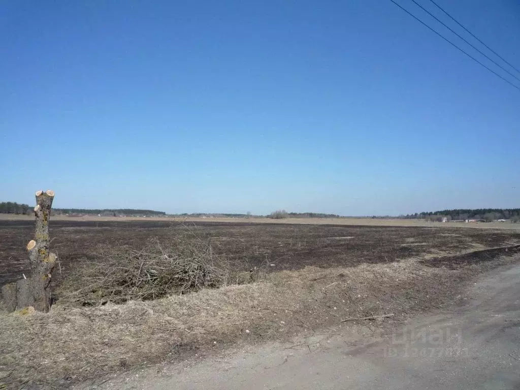 Участок в Ленинградская область, Гатчинский район, Елизаветинское ... - Фото 0