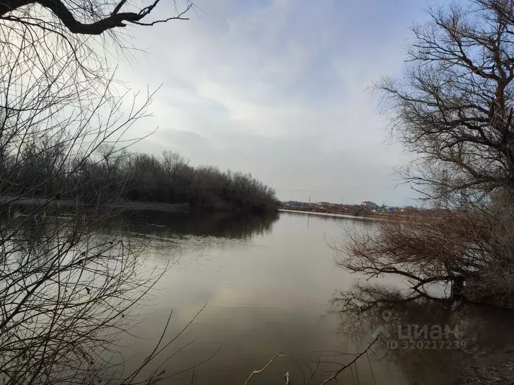 Участок в Краснодарский край, Темрюк ул. Чуянова (4.0 сот.) - Фото 1