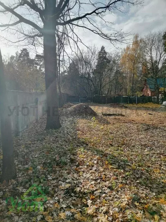 Дом в Московская область, Люберцы городской округ, Малаховка пгт ул. ... - Фото 1