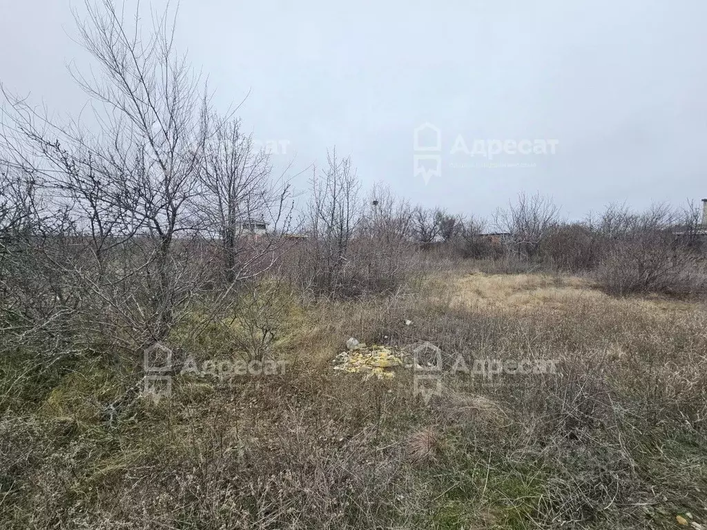 Участок в Волгоградская область, Городищенский район, Ерзовское ... - Фото 2