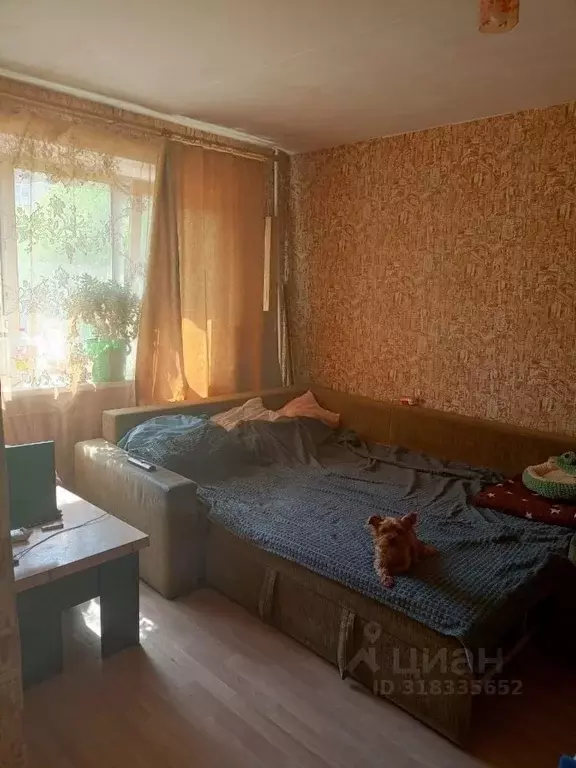 1-к кв. Челябинская область, Челябинск ул. Калмыкова, 11А (32.0 м) - Фото 0