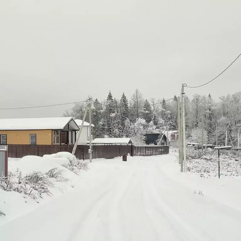 Участок в Московская область, Пушкинский городской округ, д. Бортнево  ... - Фото 0