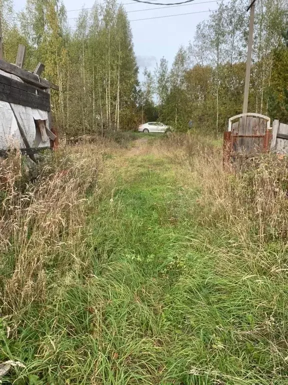 Участок в Вологодская область, д. Коробово  (25.0 сот.) - Фото 0