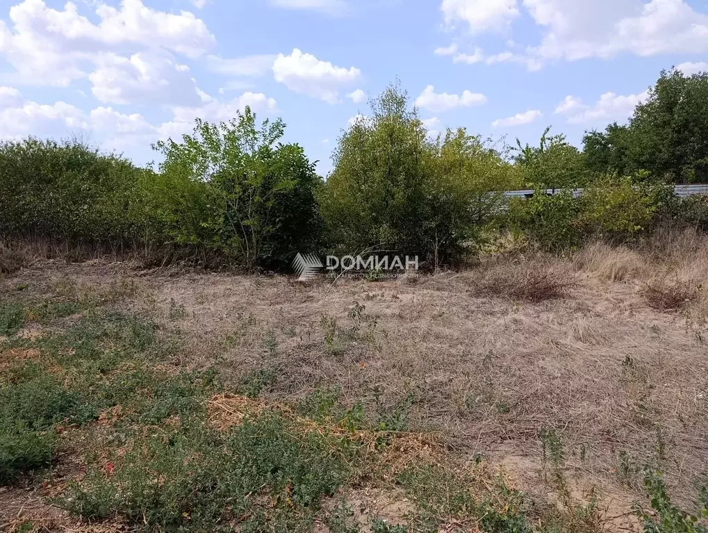 Участок в Ростовская область, Новочеркасск № 12 садовое товарищество, ... - Фото 0