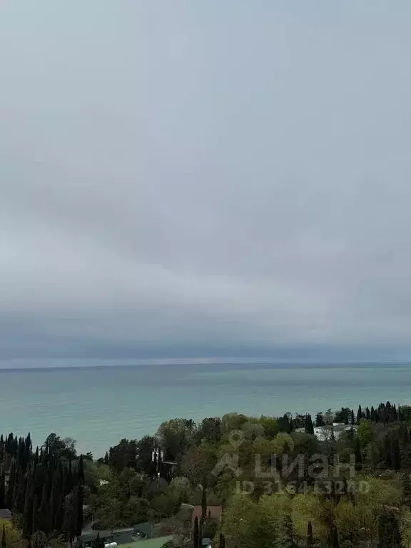 Студия Краснодарский край, Сочи Виноградная ул., 4 (32.0 м) - Фото 2