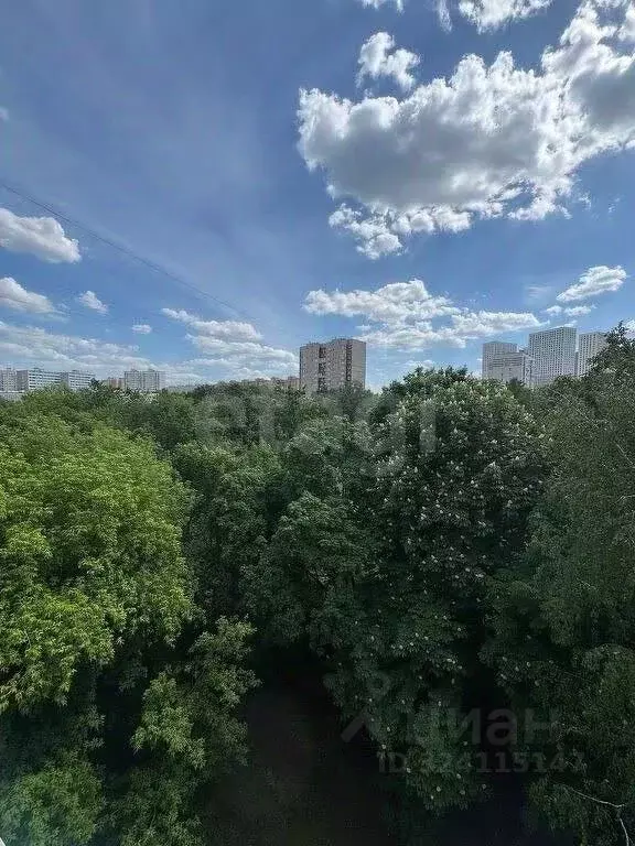 Комната Москва ул. Красного Маяка, 13АК7 (20.0 м) - Фото 2