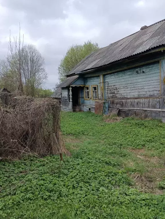 Участок в Тверская область, Старицкий муниципальный округ, д. ... - Фото 2