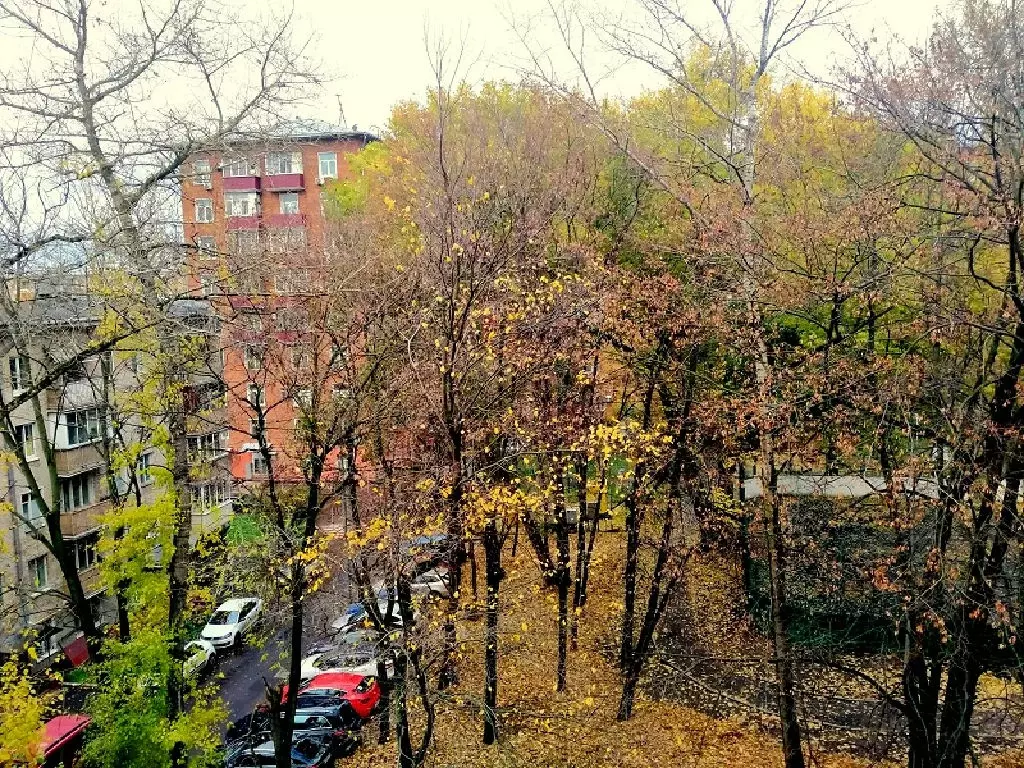 Продается 1-комнатная квартира - Фото 1