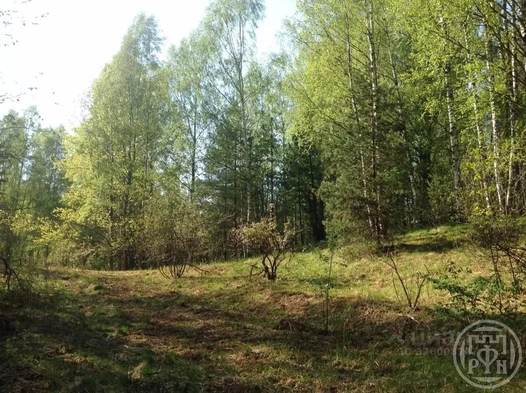 Участок в Ленинградская область, Всеволожский район, Куйвозовское ... - Фото 2