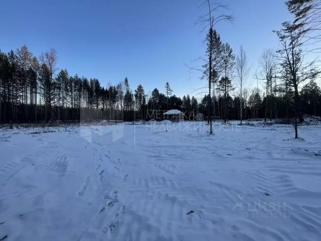 Участок в Тюменская область, Нижнетавдинский район, с. Тюнево ул. ... - Фото 1