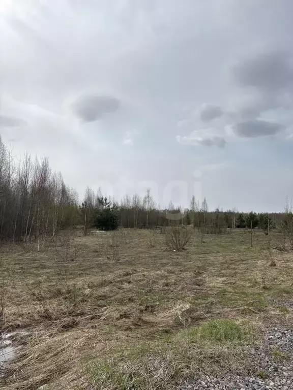 Участок в Нижегородская область, Выкса ул. Виноградова, 39 (9.04 сот.) - Фото 0