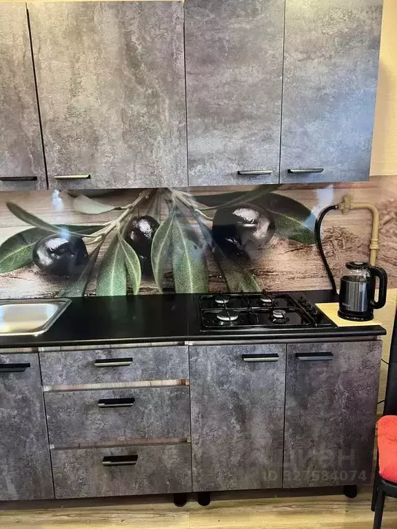 1-к кв. Свердловская область, Екатеринбург ул. Данилы Зверева, 34 ... - Фото 2