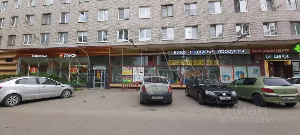 Помещение свободного назначения в Ленинградская область, Никольское ... - Фото 1