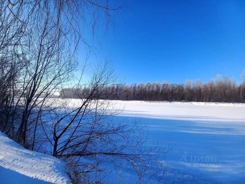 Участок в Алтайский край, Красногорский район, пос. Долина Свободы ул. ... - Фото 2