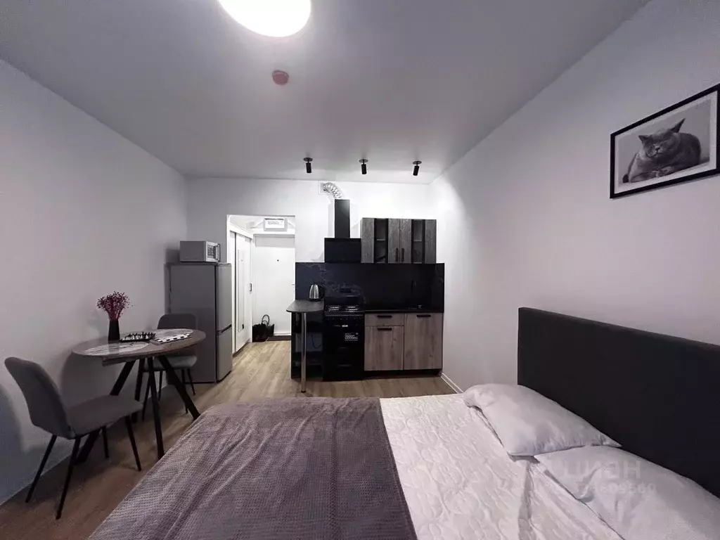 Студия Москва ул. Трехполье, 6к1 (20.0 м) - Фото 2