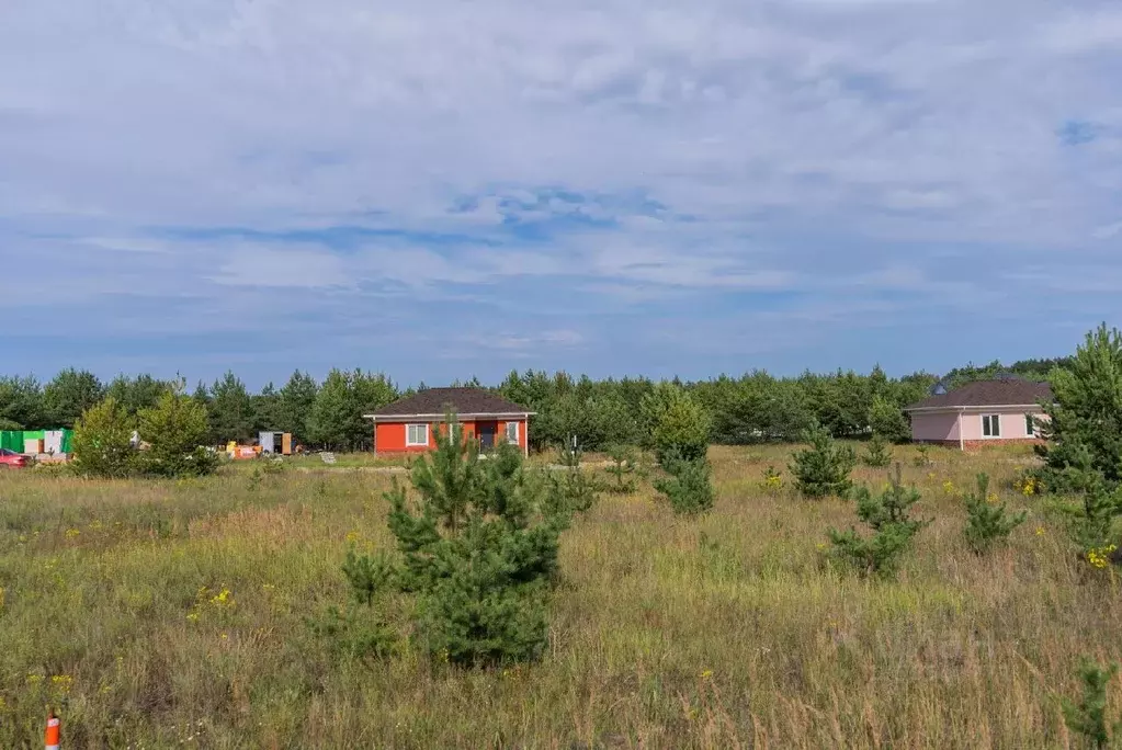 Участок в Рязанская область, Рязанский район, Дубровическое с/пос, с. ... - Фото 1