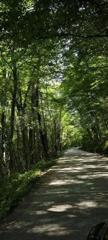 Дом 160 м на участке 5 сот. - Фото 1
