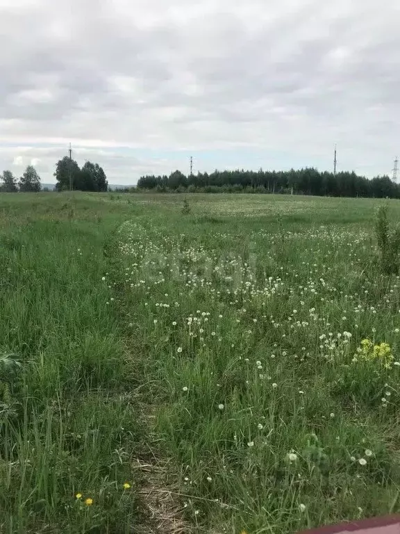 Участок в Кемеровская область, Новокузнецкий муниципальный округ, пос. ... - Фото 0