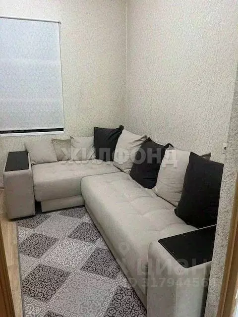 1-к кв. Новосибирская область, Новосибирск Бронная ул., 9 (25.8 м) - Фото 1
