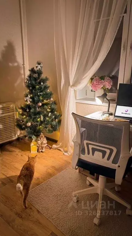 Комната Татарстан, Казань ул. Братьев Касимовых, 6 (11.8 м) - Фото 1