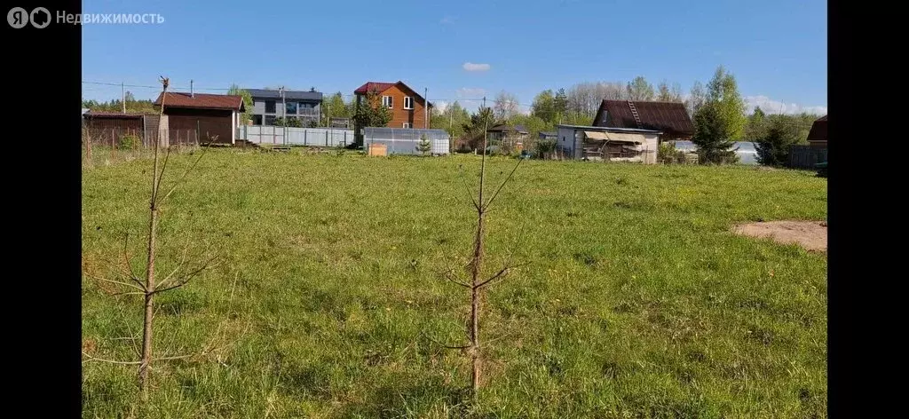 Участок в Толмачёвское городское поселение, ДНП Заповедное (1500 м) - Фото 0