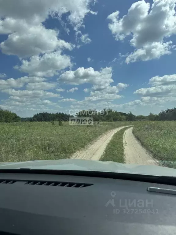 Участок в Курская область, Октябрьский район, Большедолженковский ... - Фото 2