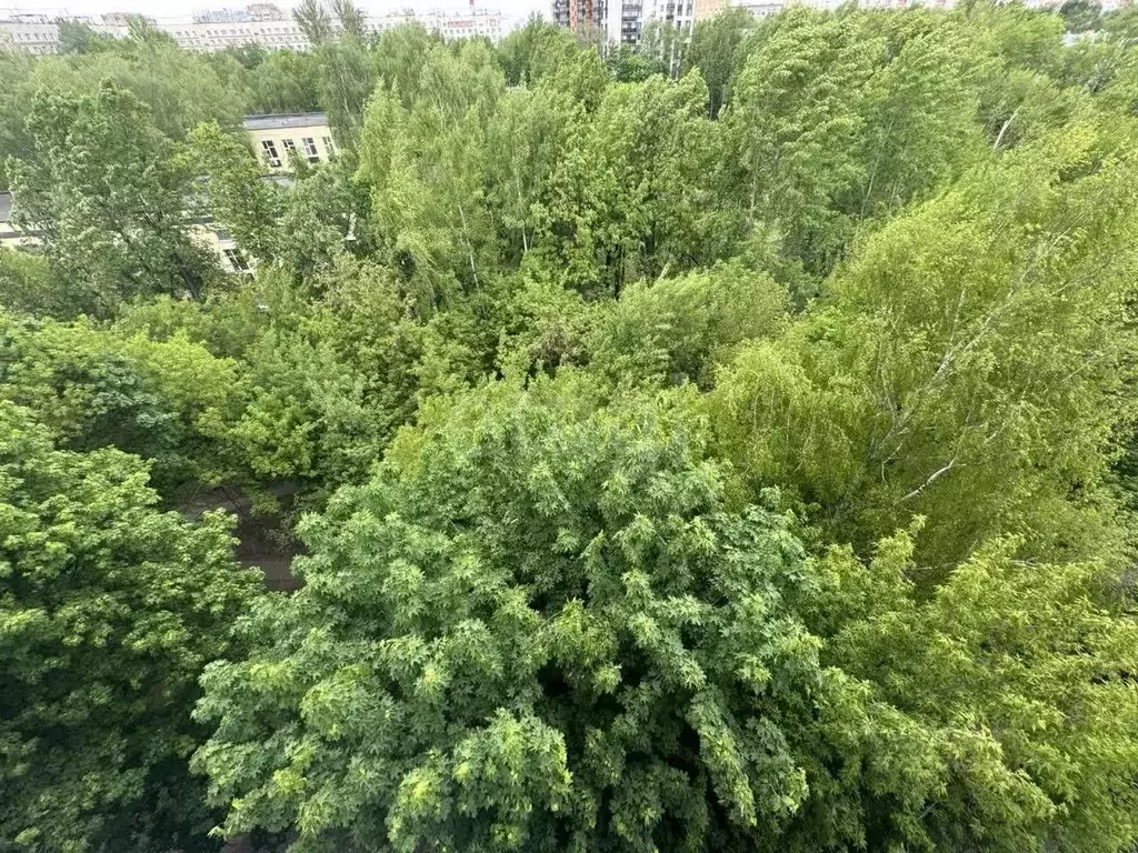 3-к кв. Москва Донбасская ул., 6 (60.2 м) - Фото 0