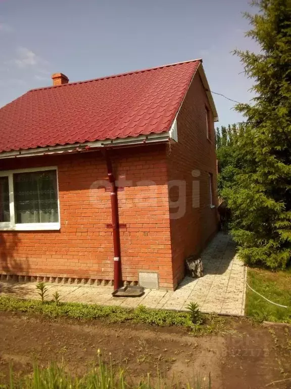 Дом в Омская область, Таврический район, Озерное СНТ аллея 9-я (99 м) - Фото 1
