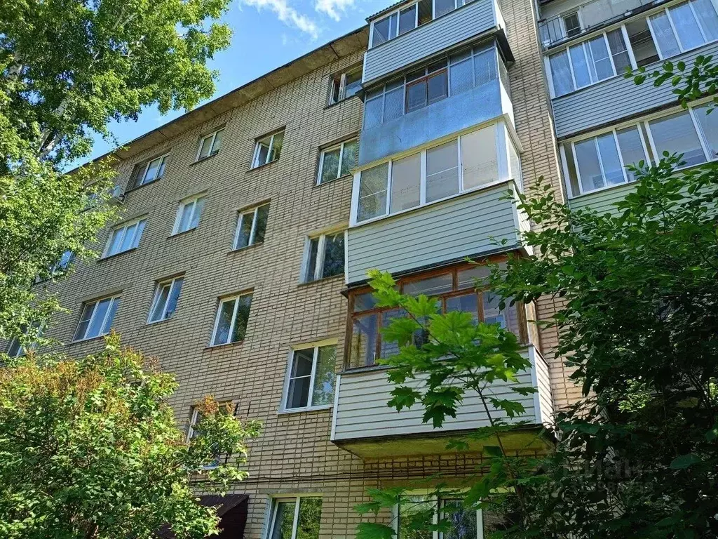 3-к кв. Владимирская область, Владимир ул. Верхняя Дуброва, 4 (59.8 м) - Фото 1