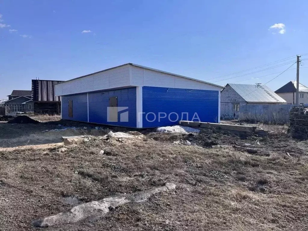 Участок в Новосибирская область, Новосибирский район, Толмачевский ... - Фото 1
