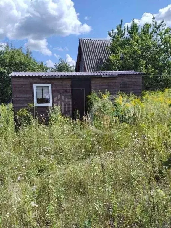 Дом в Воронежская область, Воронеж Радуга СНТ, ул. Коллективная (25 м) - Фото 0