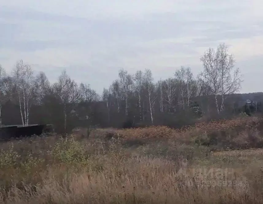 Участок в Московская область, Чехов муниципальный округ, д. Ходаево  ... - Фото 1