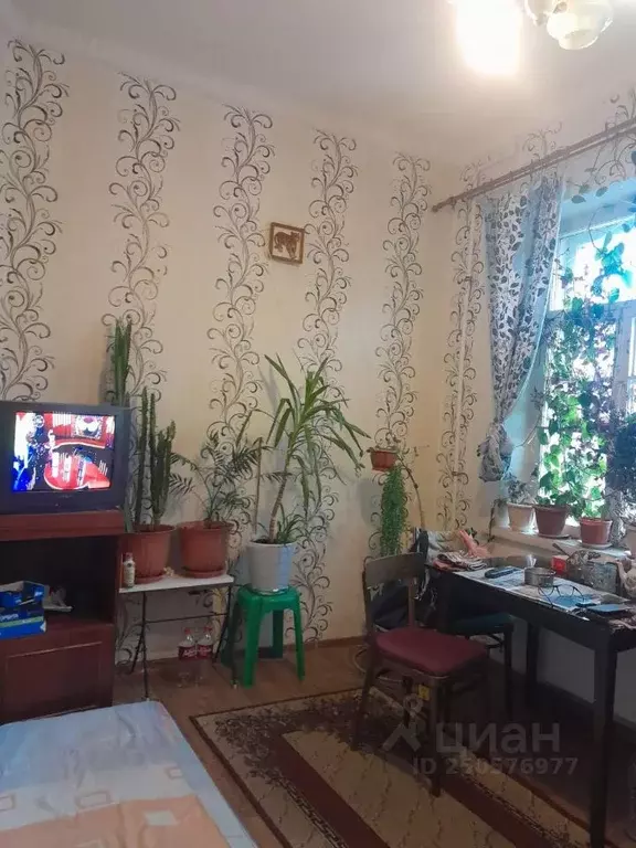 Комната Санкт-Петербург Курская ул., 31 - Фото 0
