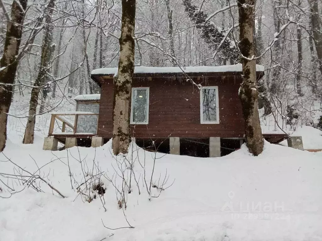 Дом в Краснодарский край, Сочи городской округ, Красная Поляна пгт ул. ... - Фото 0