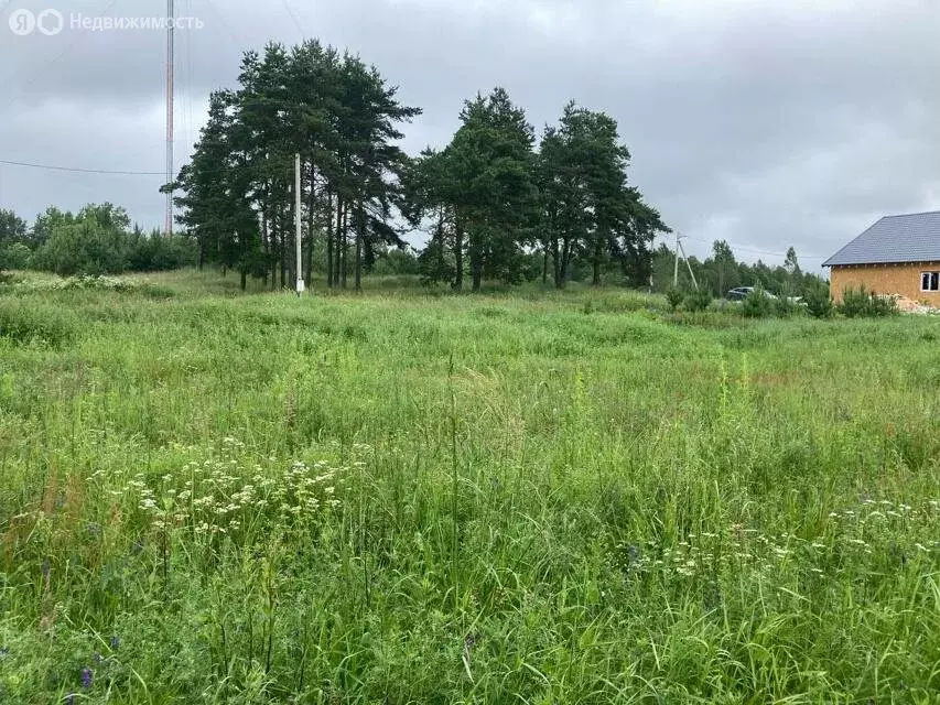 Участок в Волосовский район, Сабское сельское поселение, деревня ... - Фото 2