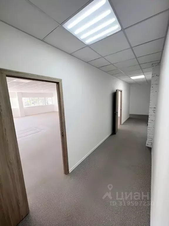 Помещение свободного назначения в Краснодарский край, Краснодар ... - Фото 1