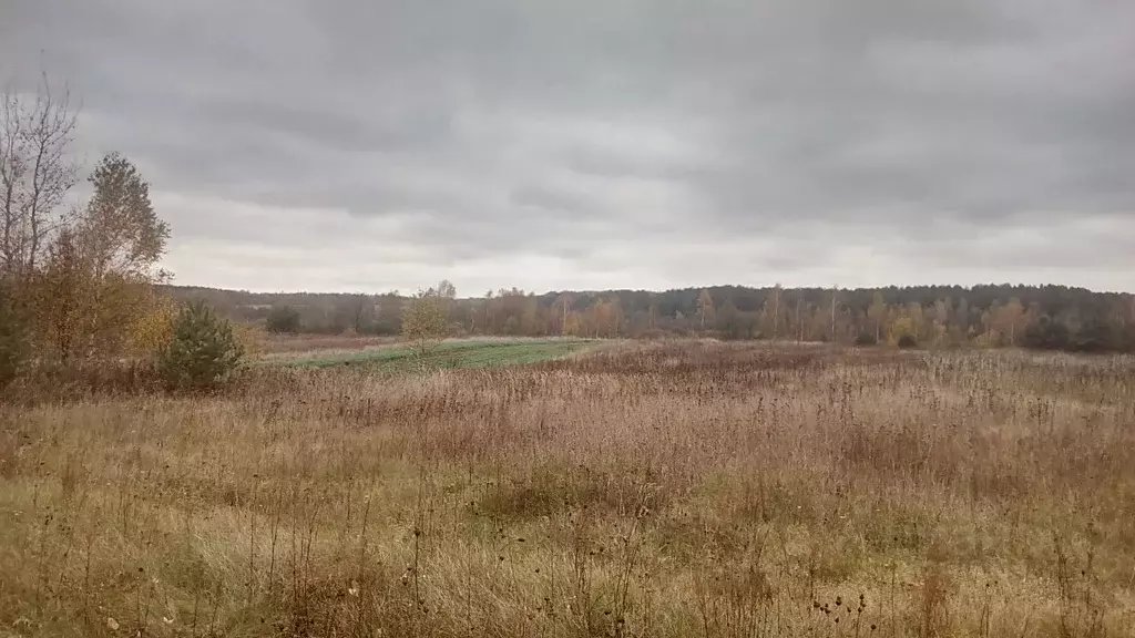 Участок в Новгородская область, Крестецкий район, Новорахинское с/пос, ... - Фото 0