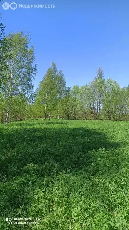 Участок в Вологодская область, Череповецкий муниципальный округ, ... - Фото 0