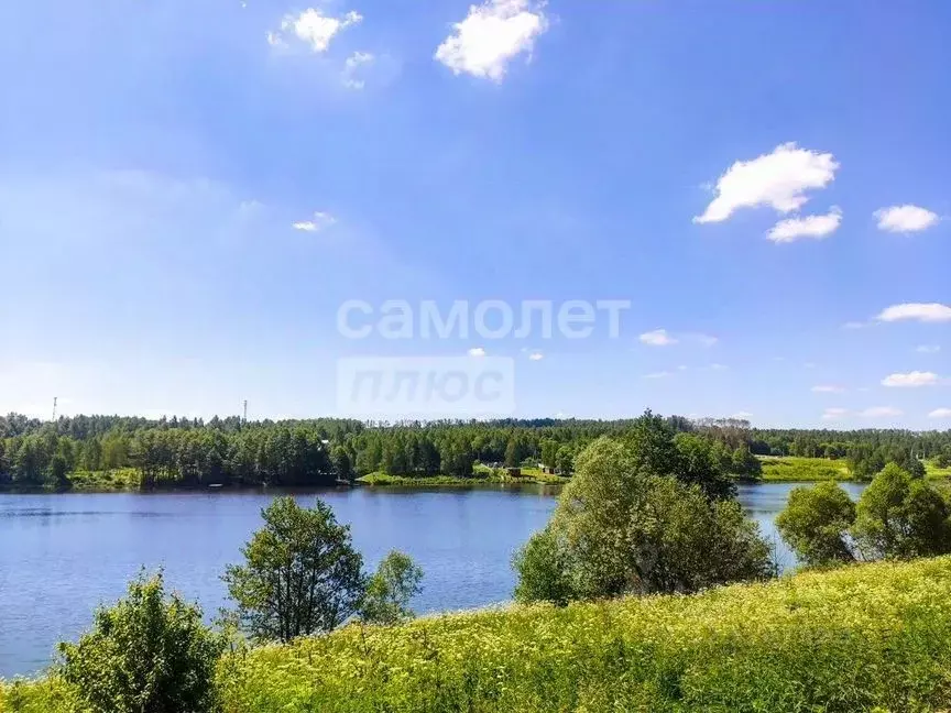 Дом в Калужская область, Калуга городской округ, с. Горенское  (32 м) - Фото 2