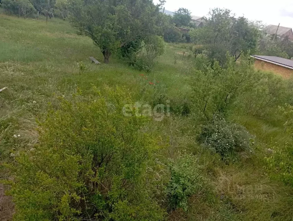 Участок в Крым, Ленинский район, Белинское с/пос, с. Станционное ул. ... - Фото 1