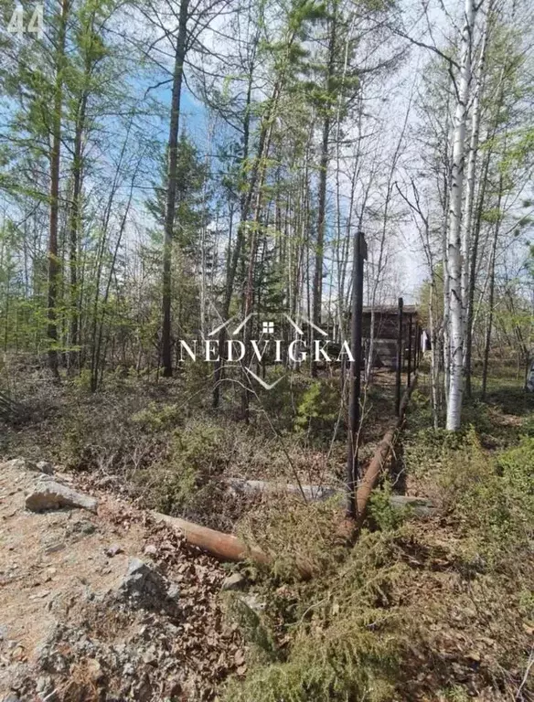 Участок, 9.5 сот., сельхоз (снт или днп) - Фото 2