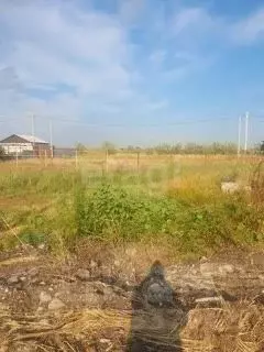 Участок в Ростовская область, Азовский район, Елизаветинское с/пос, ... - Фото 1