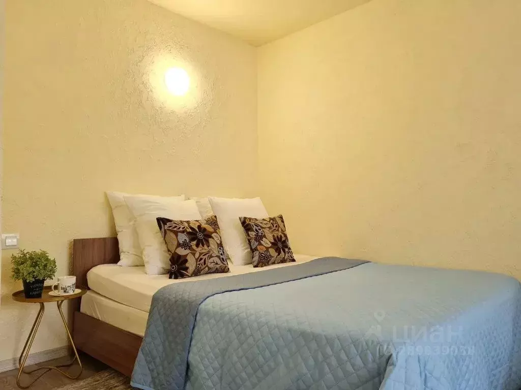 1-к кв. Воронежская область, Воронеж Краснознаменная ул., 171Б (31.0 ... - Фото 1